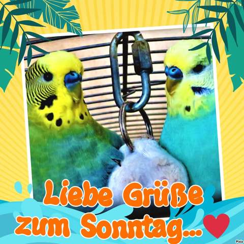 - (Freunde, Essen, Familie)