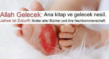 Bild zum Beitrag