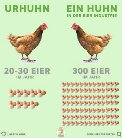 Eine Frage an Vegetarier? (Fleisch, vegan, Vegetarismus)