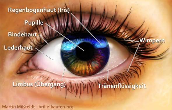Bild zum Beitrag
