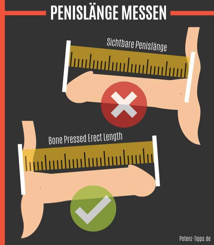 Von wo bis wo misst man seinen Penis? (Kondom, Erektion)