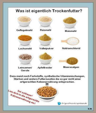 - (Ernährung, Haustiere, Tierarzt)