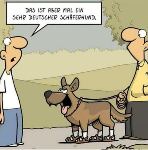 - (Kleidung, Mode, Schuhe)