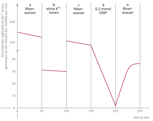 Könnt ihr mir mit Biologie helfen? (Schule, Bio,