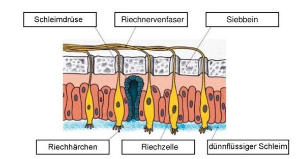 Bild zum Beitrag