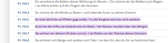 Bild zum Beitrag