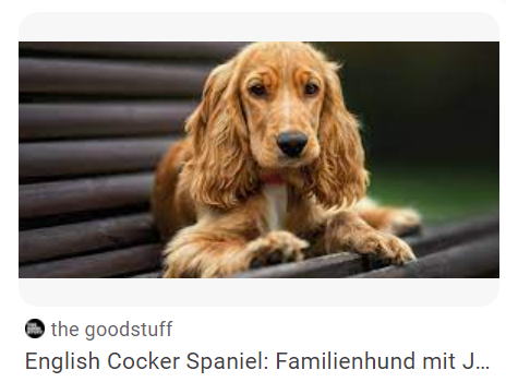 - (Tiere, Umfrage, Hund)