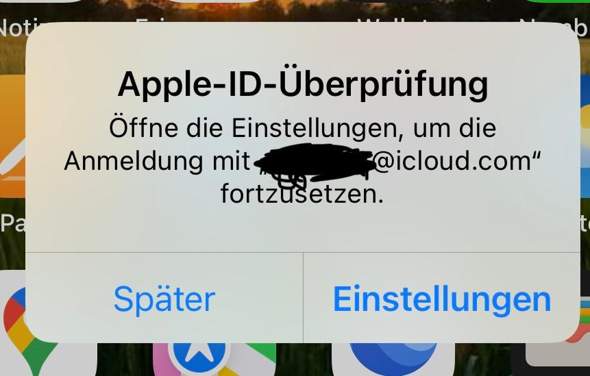 Bild zum Beitrag