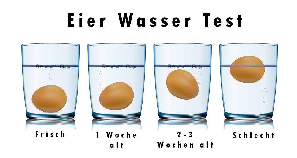 Wie Lange Halten Sich Frisch Gelegte Hühnereier Wie erkennt man frische Eier? (Haltbarkeit, Kuchen)