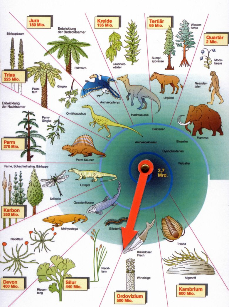 sind-alle-lebewesen-miteinander-verwandt-menschen-tiere-biologie