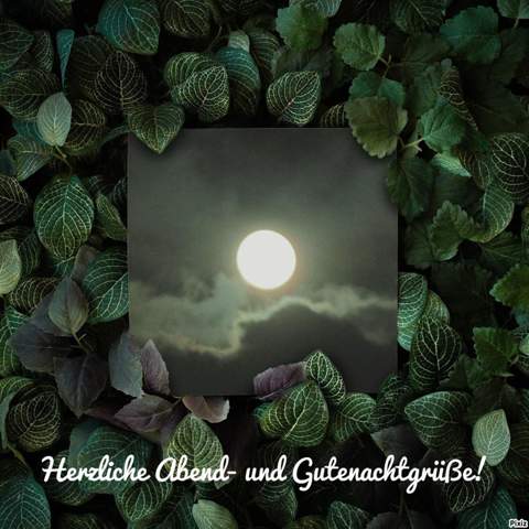 - (Geschenk, Konfirmation, Gugumo)