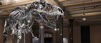  - (Dinosaurier, Museum)