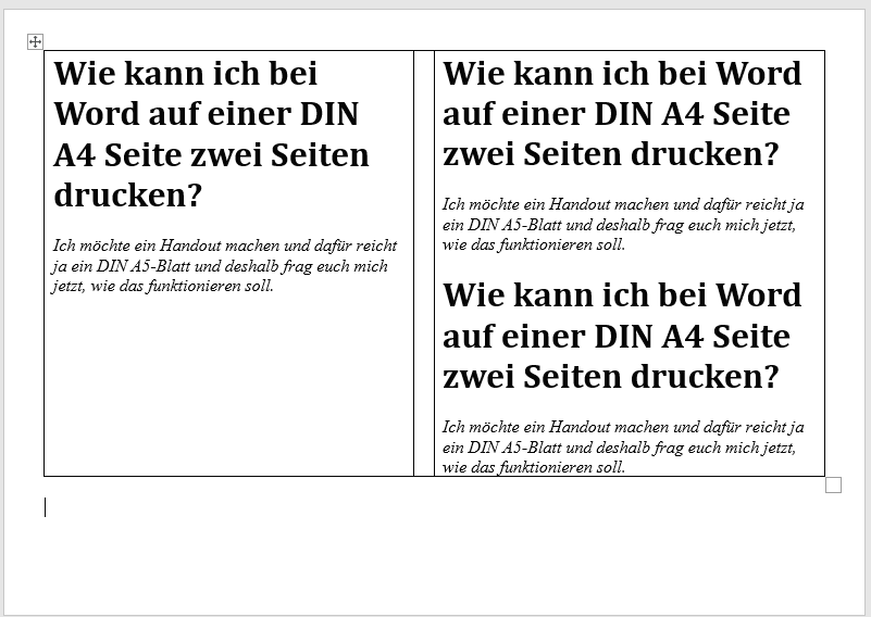 Wie kann ich bei Word auf einer DIN A4 Seite zwei Seiten drucken