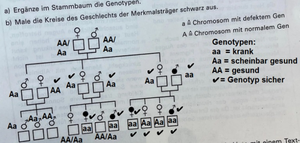 Bild zum Beitrag