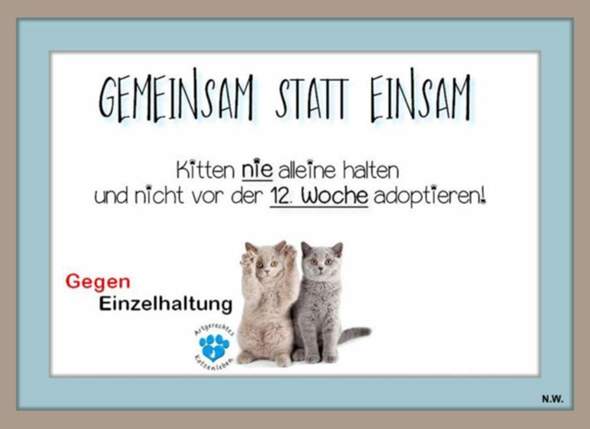  - (Ernährung, Katze, Tierhaltung)