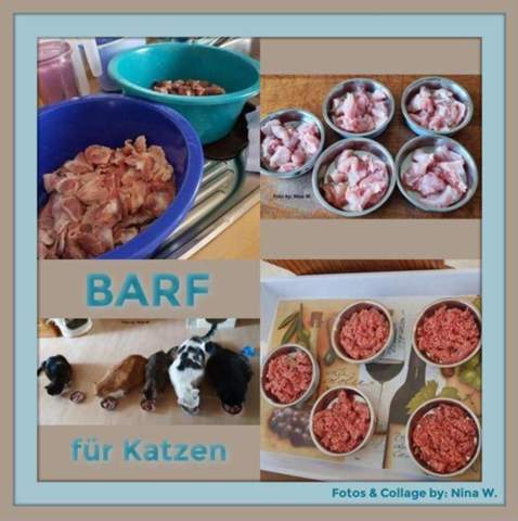  - (Ernährung, Katze, Tierhaltung)