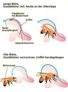 Bild zum Beitrag