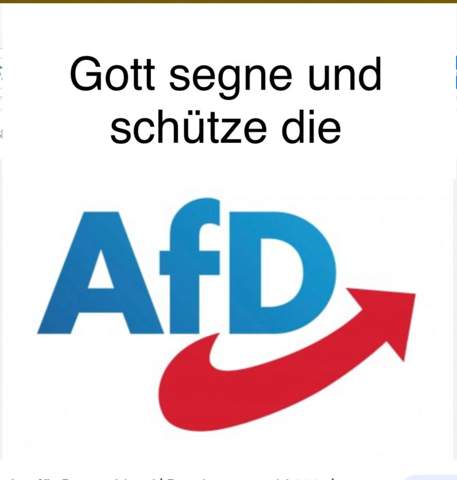 Bild zum Beitrag