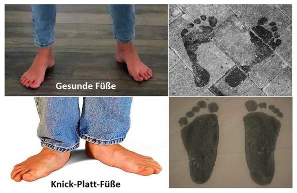 Bild zum Beitrag