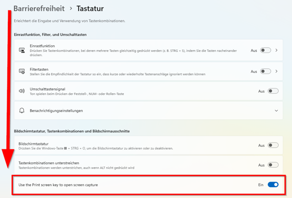 - (Softwareproblem, Windows 11 Home)