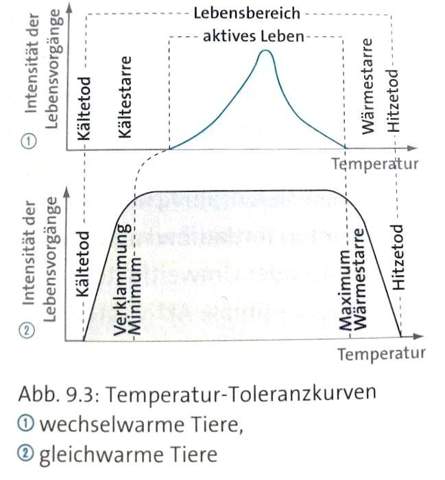 Kann jemand mir die Temperaturtoleranzkurve erklären (über Homoiotherme