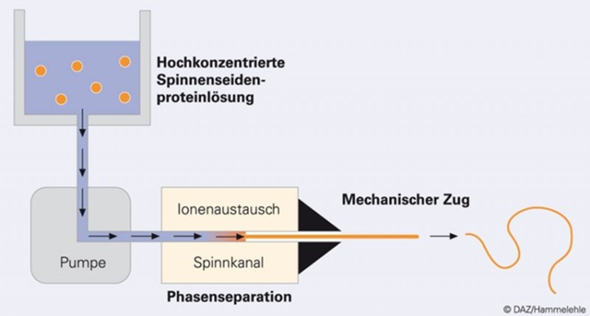 Bild zum Beitrag