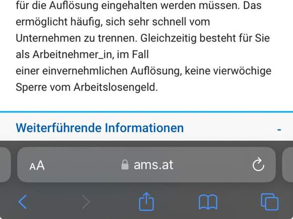 Bild zum Beitrag