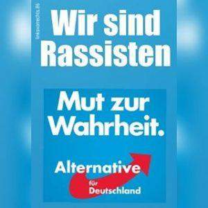  - (Politik, Partei, AfD)