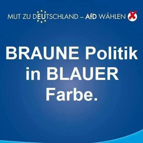  - (Politik, Partei, AfD)