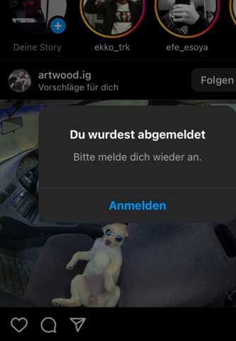 Bild zum Beitrag