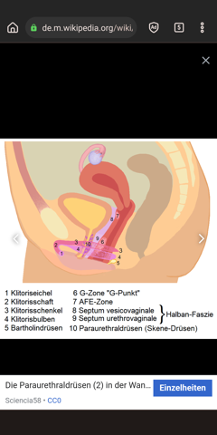 Kann man eine Frau mit 15cm berhaupt vaginal befriedigen? (Frauen, Mnner, Sexualitt) Kann man eine Frau mit 15cm berhaupt vaginal befriedigen? (Frauen, Mnner, Sexualitt)