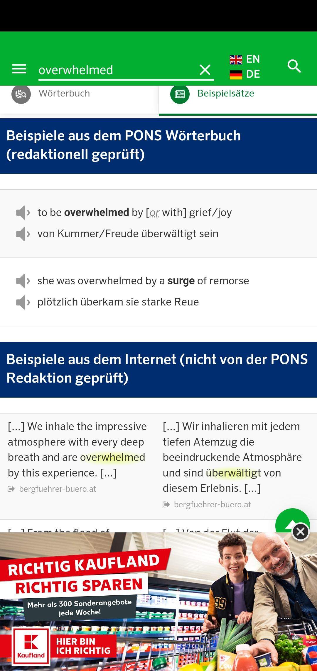 Englisch Übersetzung "overwhelmed"? (Bedeutung, Sprache lernen