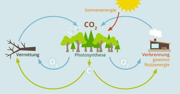  - (Biologie, Natur, CO2)