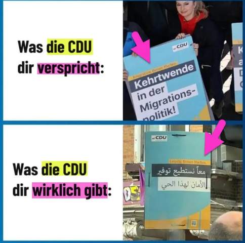 Bild zum Beitrag