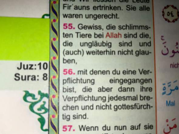 Bild zum Beitrag