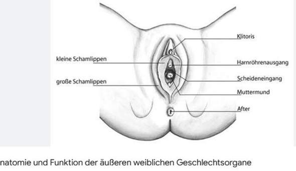 - (Sexualität, Penis, Selbstbefriedigung)