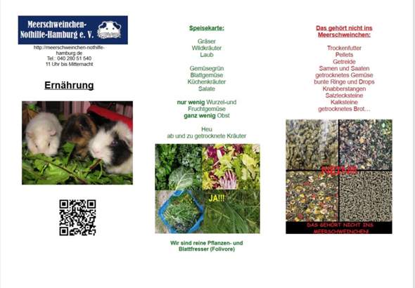 - (Ernährung, Meerschweinchen, Futter)