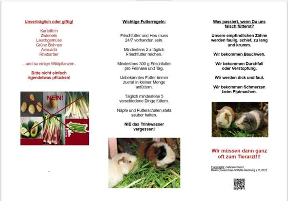- (Ernährung, Meerschweinchen, Futter)