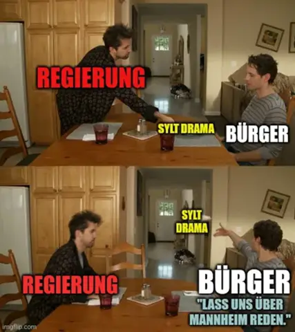 - (Wahlen, Partei, AfD)