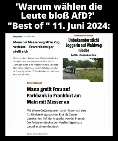 Bild zum Beitrag