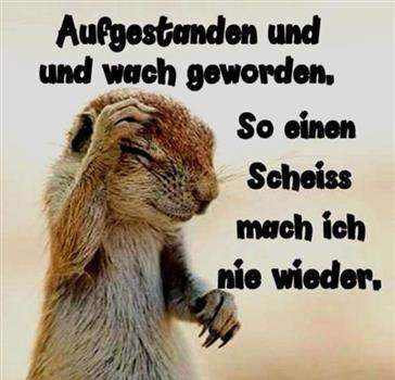 - (Liebe, Mädchen, Jungs)