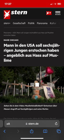 Bild zum Beitrag