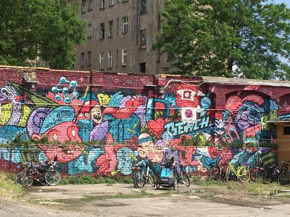 Bild zum Beitrag