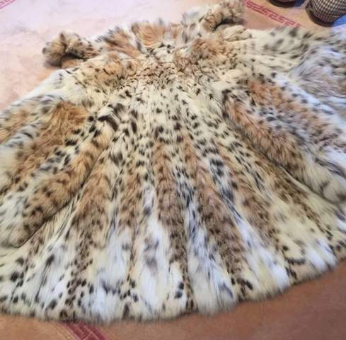 - (Tiere, Lieblingstier)