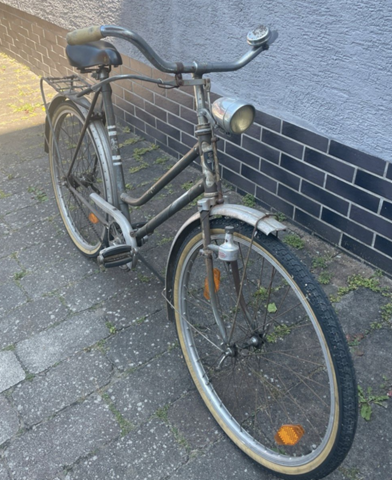 - (Mädchen, Jungs, Lernen)