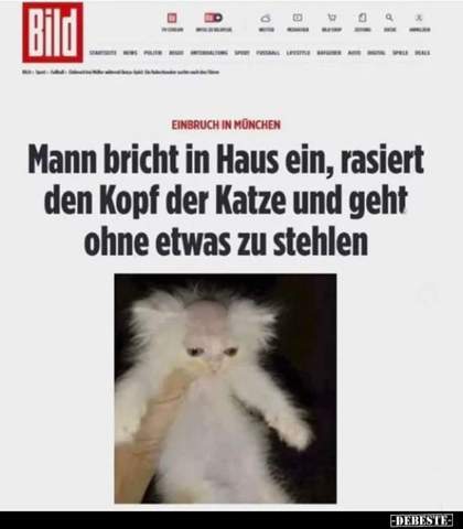 Bild zum Beitrag