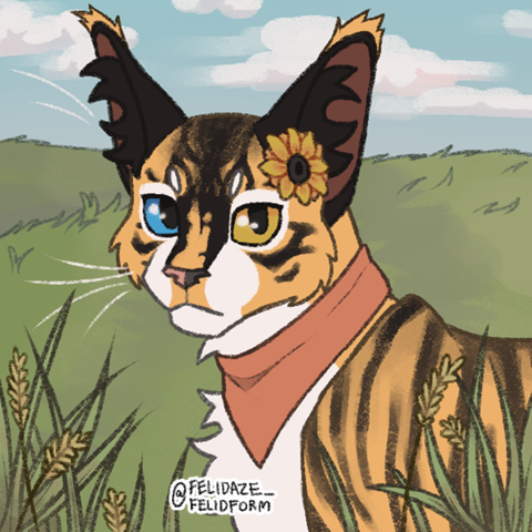 - (Buch, Warrior Cats, Erin Hunter)