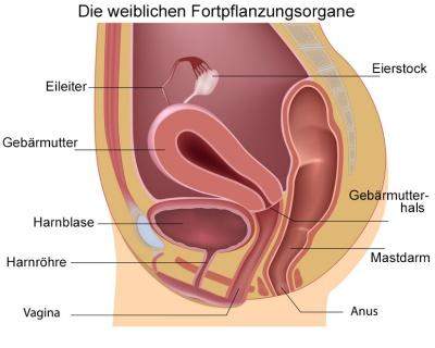 Bild zum Beitrag