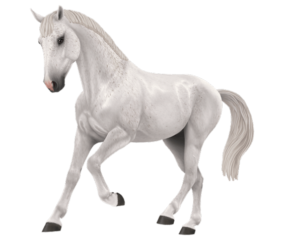 - (Computerspiele, Funktion, Update)
