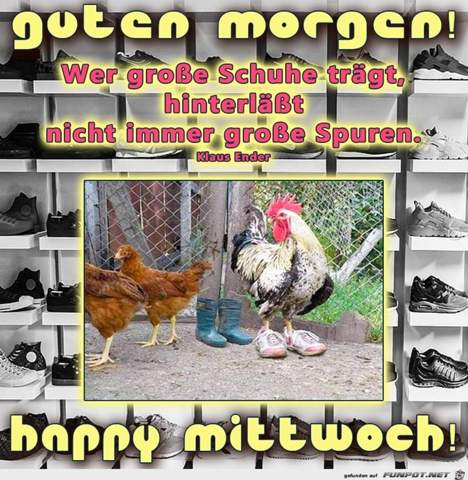 - (Leben, Gesellschaft, Gugumo)